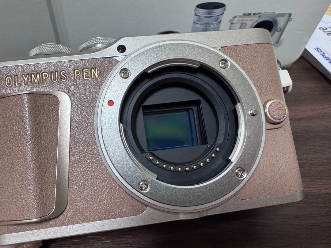 Olympus PEN E-PL10 本体＋レンズ2本 フルセット 美品