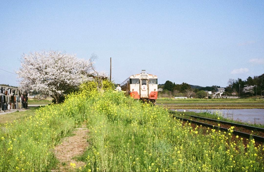 Nikon new FM2 （ハニカムチタンシャッター幕）シルバー 美品