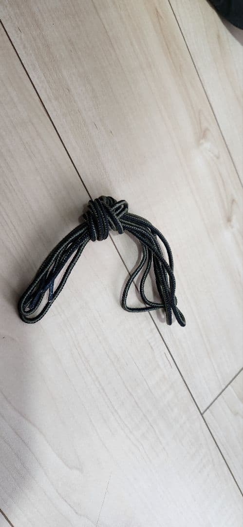 レッドウィング　アルパインポーテージ　8828