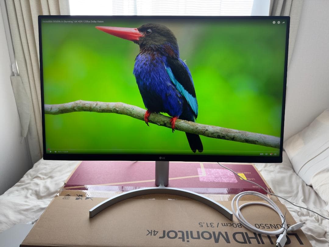 【美品】32インチ 4Kモニター LG 32UN550-WAJP