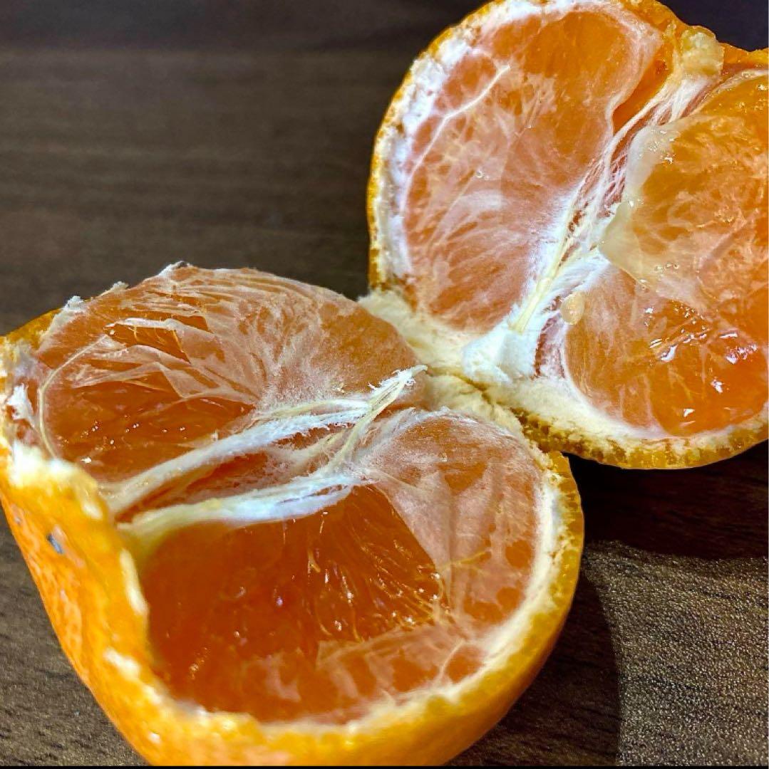 ②温州みかん 樹熟大坊みかん 優品(家庭用傷あり)2S、Sサイズ10kg