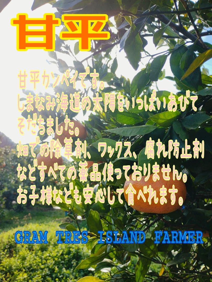 甘平　5kg箱　#3