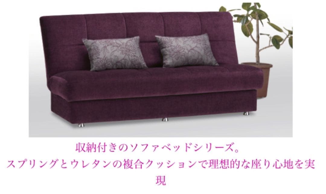 値下げ‼️フランスベッド　送料込　ソファベッド　AG-アルマ