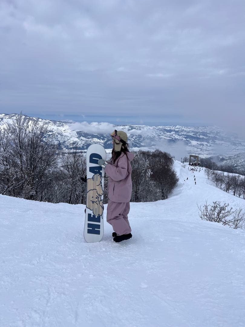 DLITEスノボードウェア スノボウェア 上下セット 【撥水加工済み】