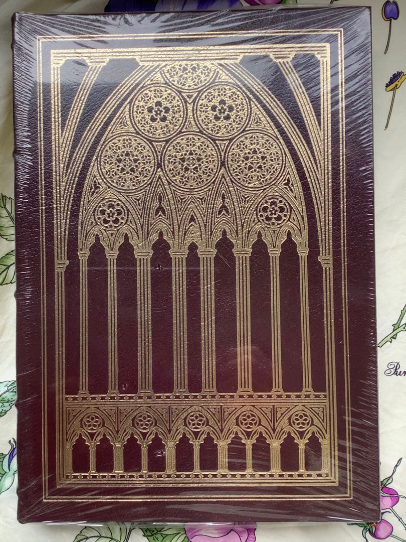 Hunch Back of Norte Dame V Hugo ノートルダムの鐘