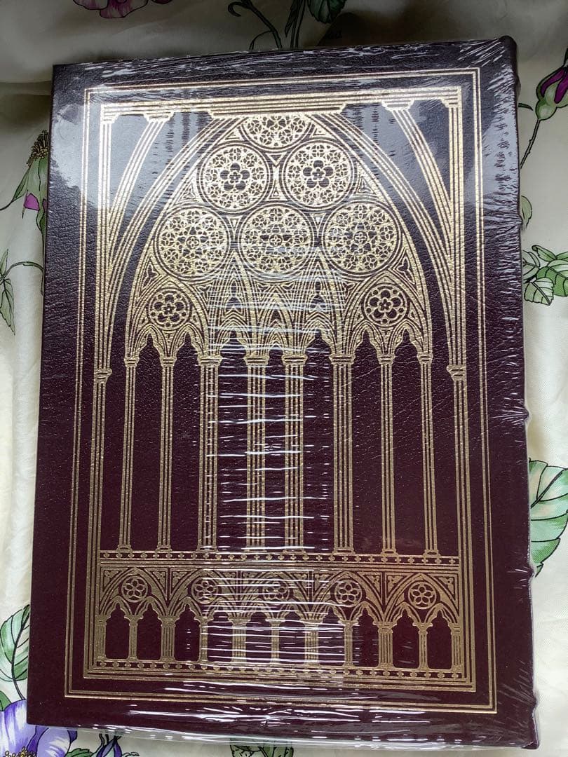 Hunch Back of Norte Dame V Hugo ノートルダムの鐘