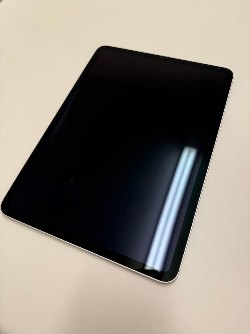 Apple iPad Pro 第3世代 11インチ シルバー 256GB