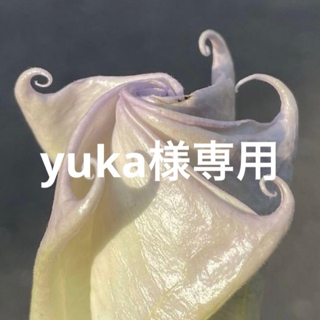 パンツ yuka