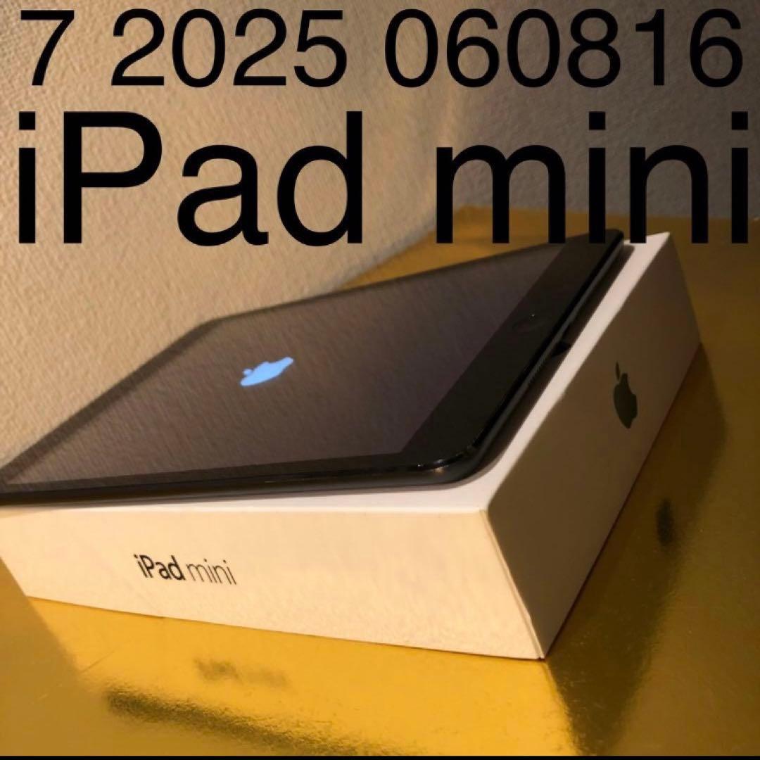 7 2025 060816美品 iPad mini アイパッドミニ 黒