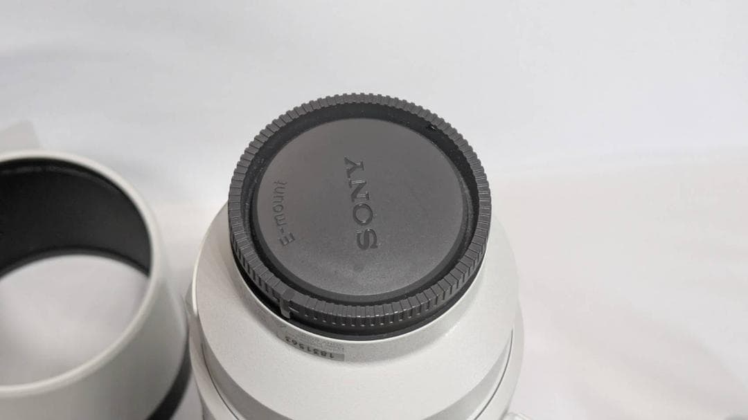 レンズ(ズーム) FE200-600mm F5.6-6.3 G OSS SEL200600G