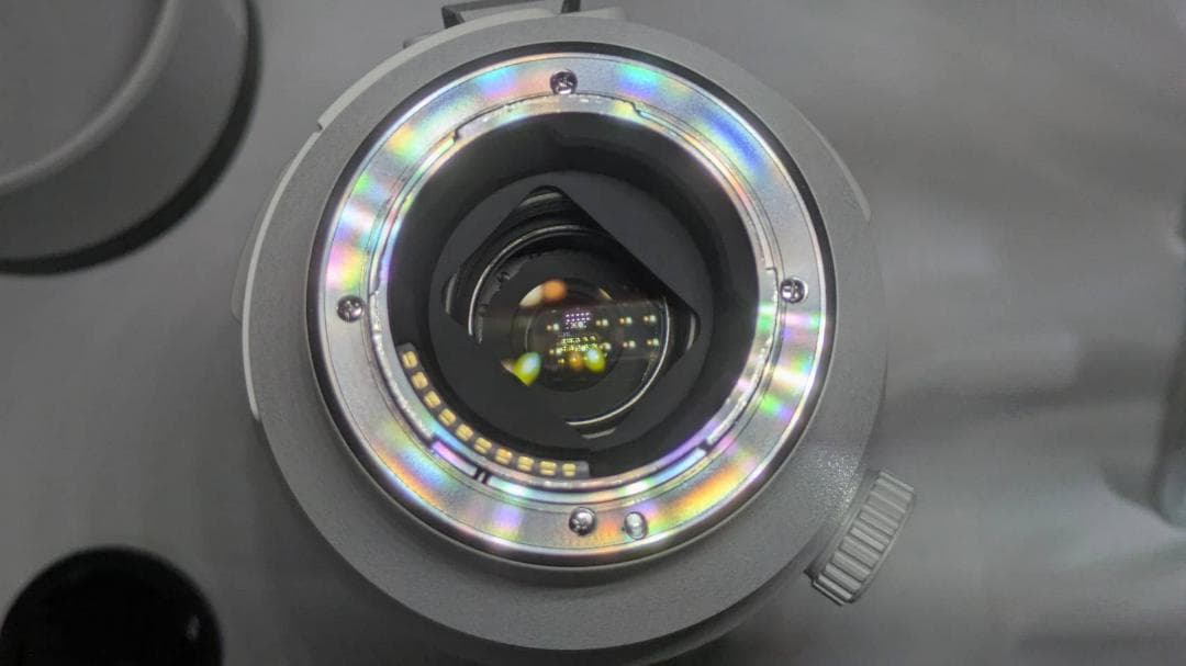 レンズ(ズーム) FE200-600mm F5.6-6.3 G OSS SEL200600G