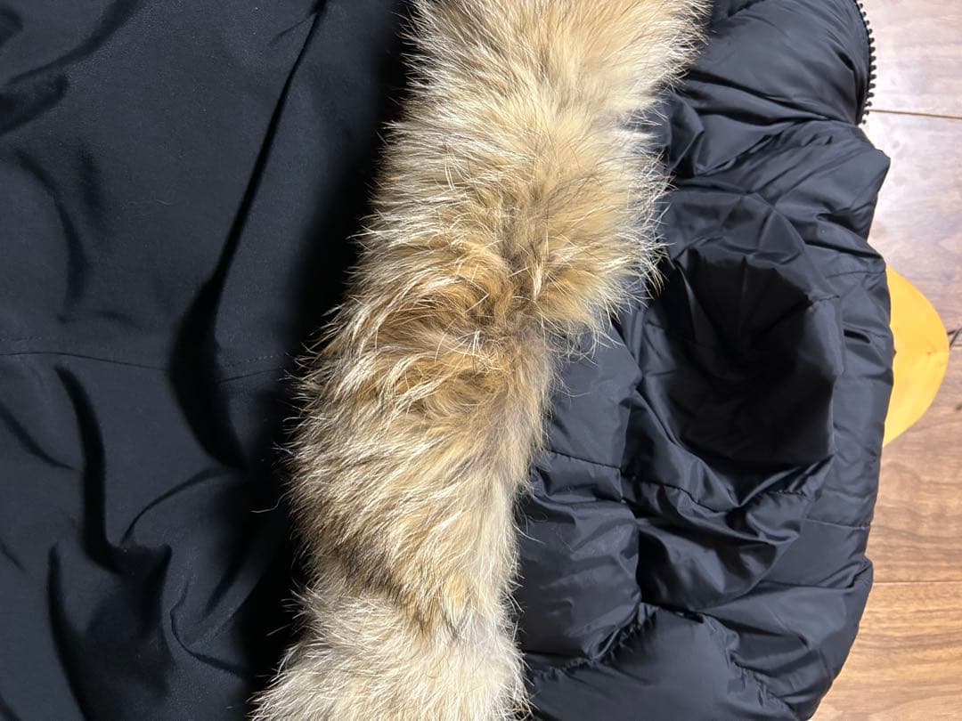 カナダグース ジャスパー S/P 黒 EDIFICE別注 コヨーテファー