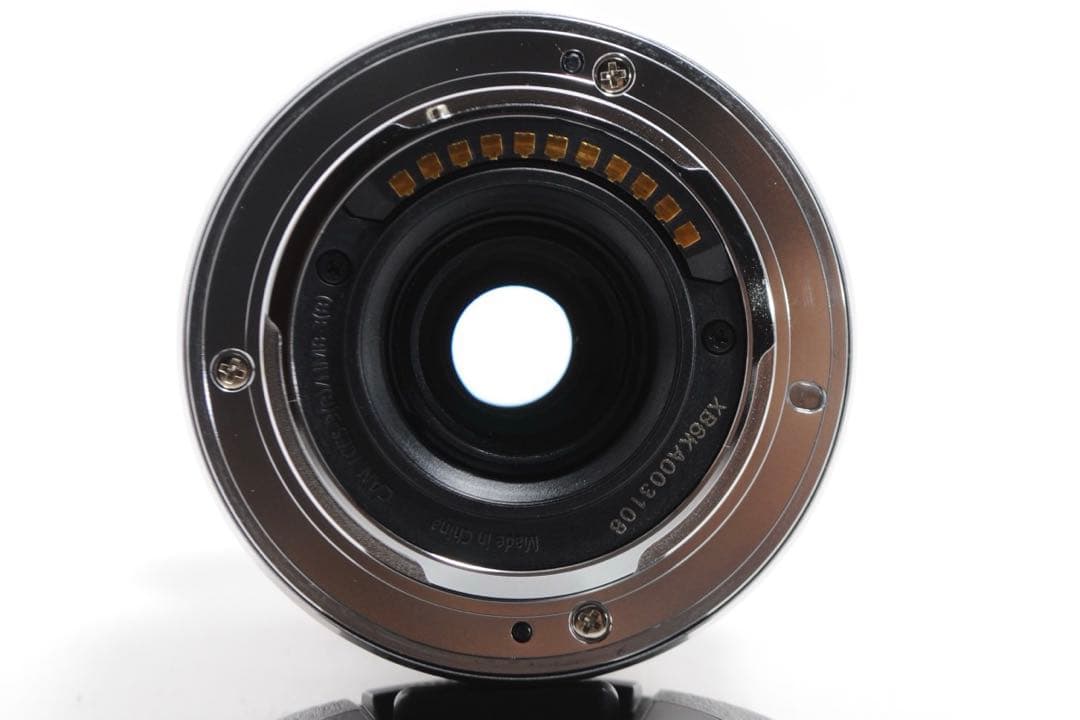 美品❤️LUMIX G VARIO 35-100mm❤️手ぶれ補正❤️超望遠