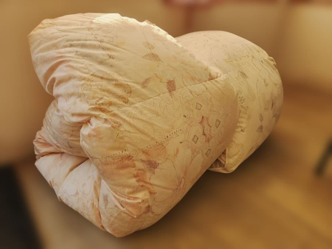 FRANCEBED 高級羽毛掛け布団 150x210cm ペア