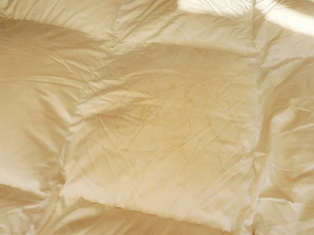 FRANCEBED 高級羽毛掛け布団 150x210cm ペア