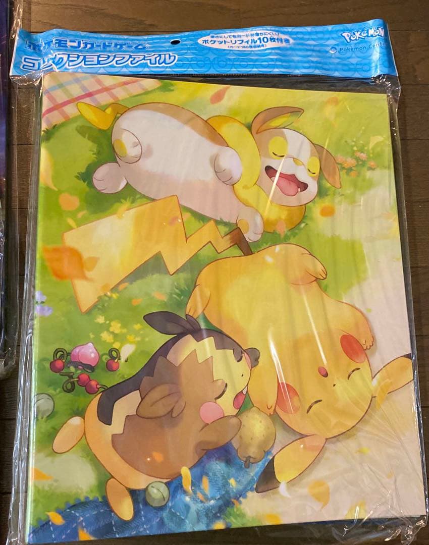 未開封　ポケモンカードゲーム ポケカ　コレクションファイル　カード