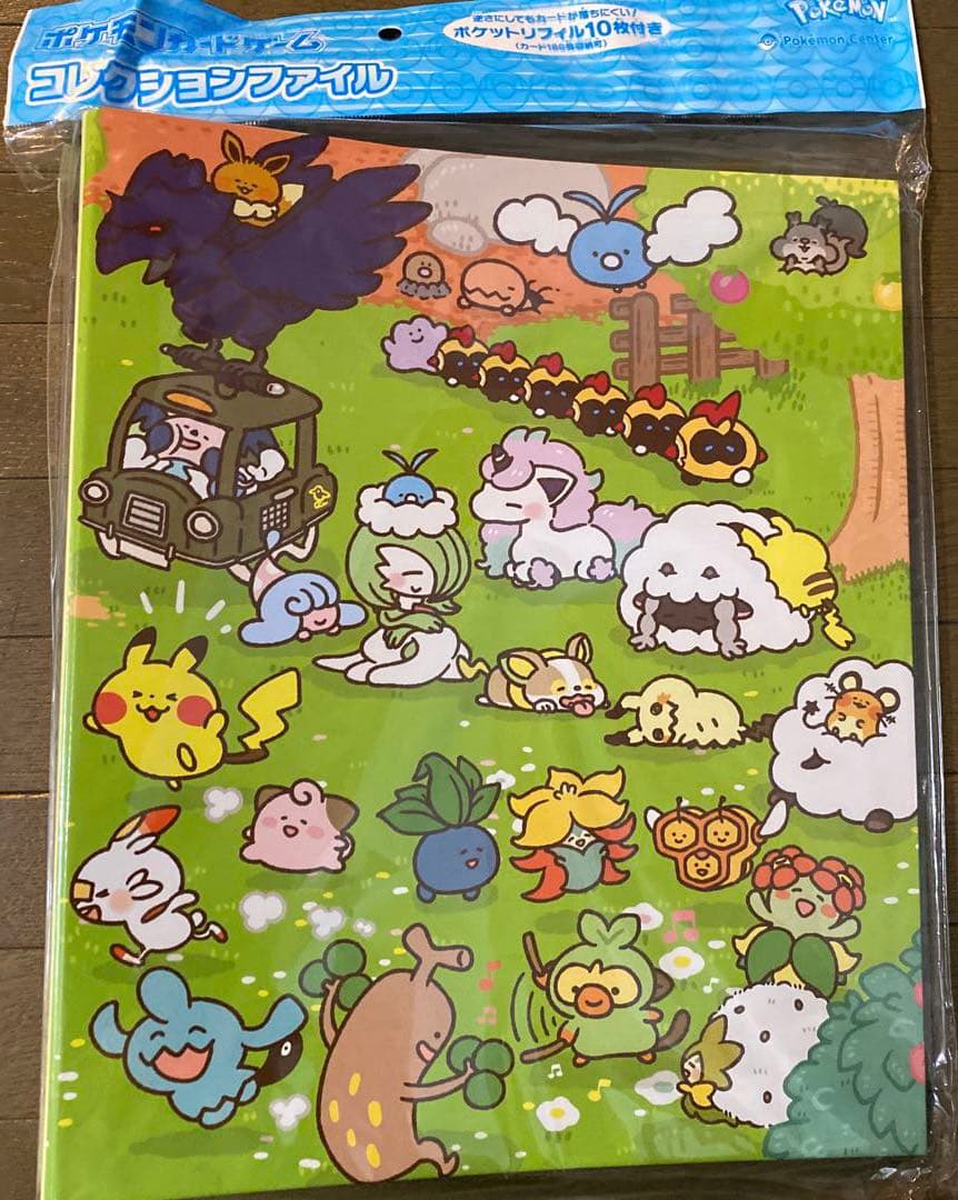未開封　ポケモンカードゲーム ポケカ　コレクションファイル　カード