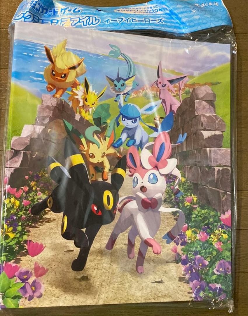 未開封　ポケモンカードゲーム ポケカ　コレクションファイル　カード