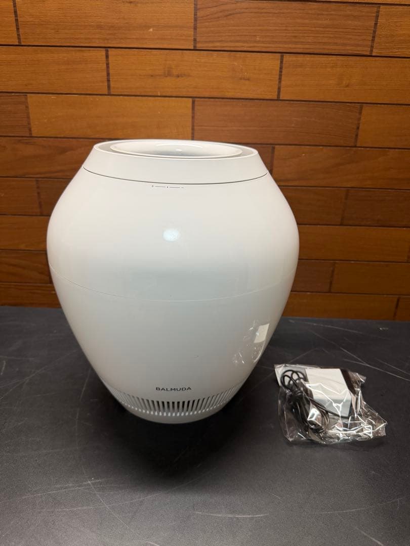 BALMUDA バルミューダ Rain ERN-1100SD-WK 2022年製