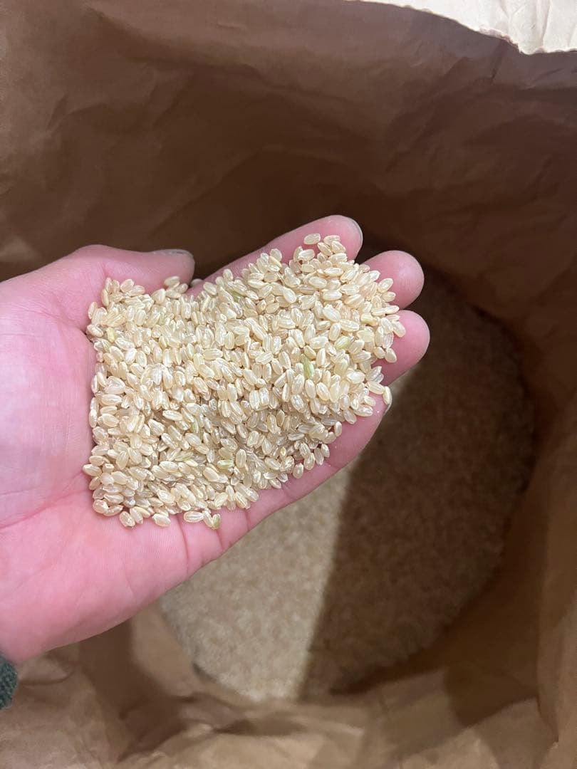 ‼️ちこ様‼️令和7年産‼️香川県産‼️コシヒカリ‼️さぬき米‼️20キロ　③