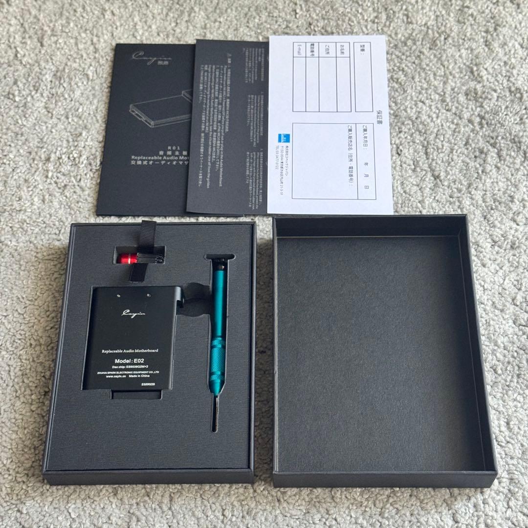 【美品】cayin N6ⅱ R01 プレーヤー（E02マザーボード付き）