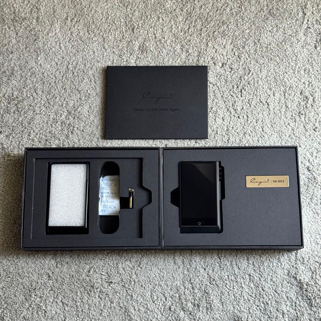 【美品】cayin N6ⅱ R01 プレーヤー（E02マザーボード付き）