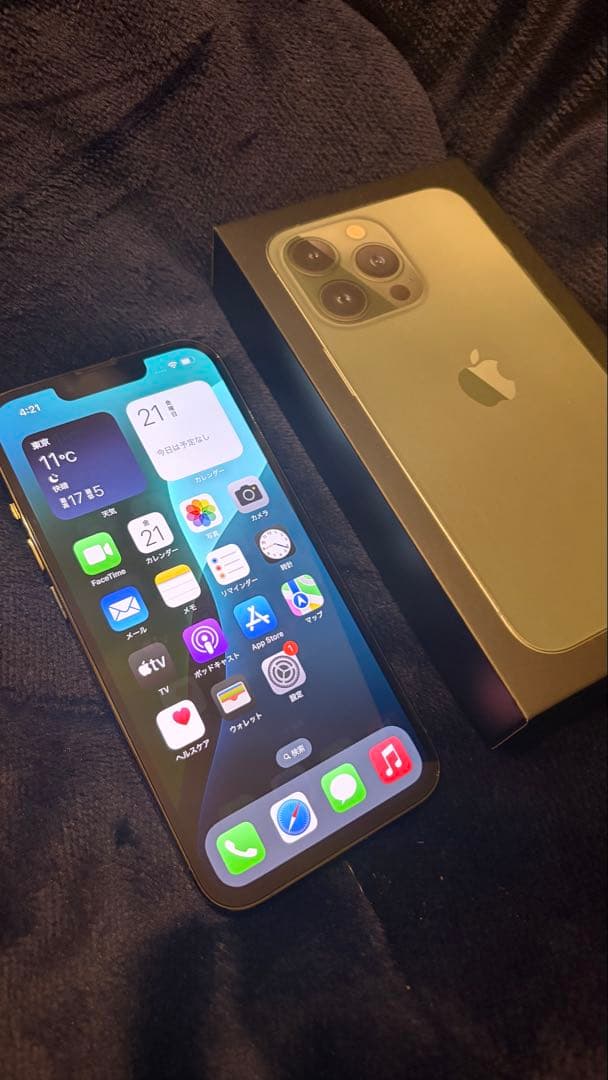 T*G様 iPhone13 Pro Max 256GB アルパイングリーン SI