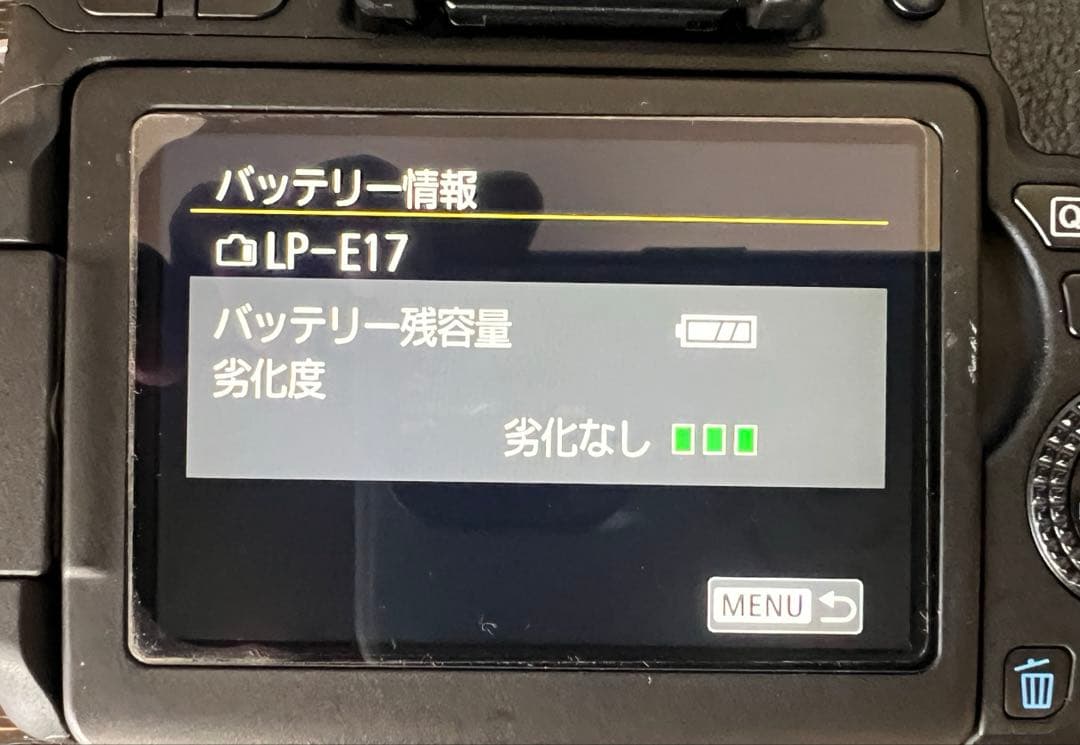 CanonEOS8000Dデジタル一眼レフカメラ　ダブルズームキット&おまけ
