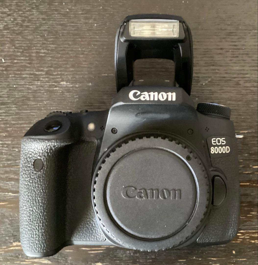 CanonEOS8000Dデジタル一眼レフカメラ　ダブルズームキット&おまけ