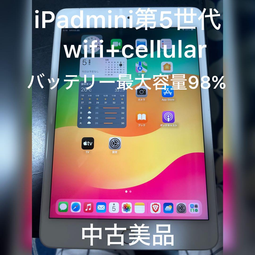 iPadmini 第5世代 wifi+cellular