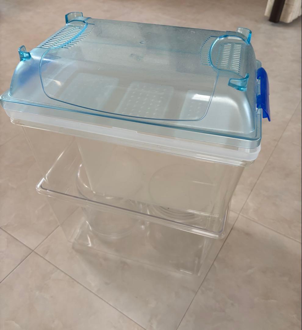 シーラケース　コバエシャッター 昆虫飼育ケース sanko クリーンケースセット