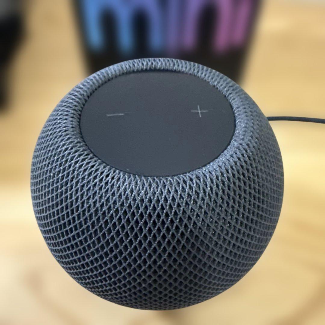 Apple Pod スペースグレー