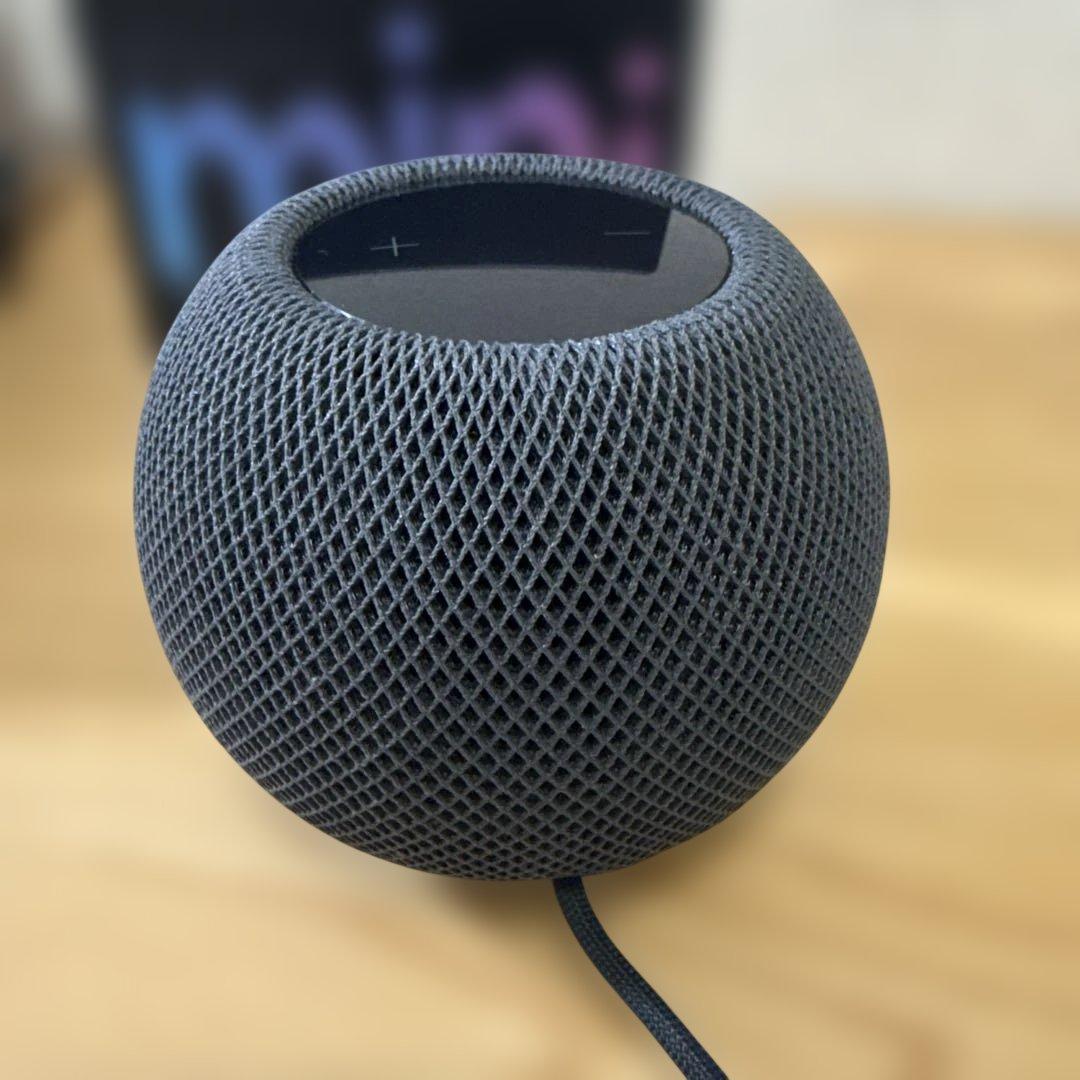 Apple Pod スペースグレー