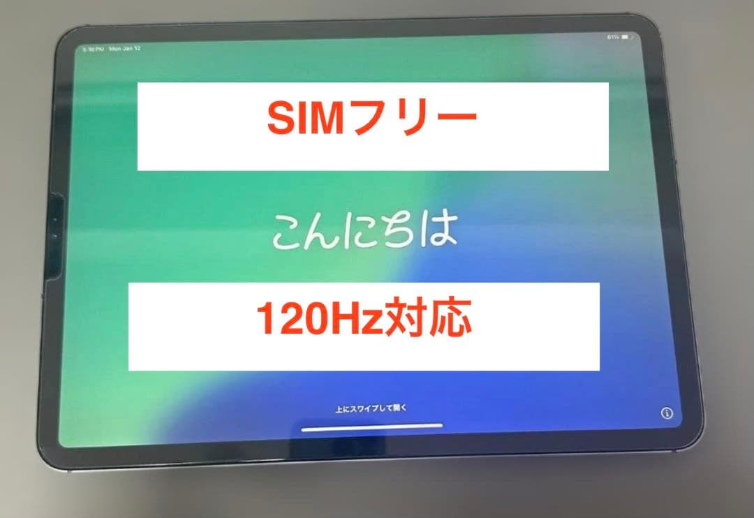 Apple iPad Pro (11インチ) スペースグレー 64GB