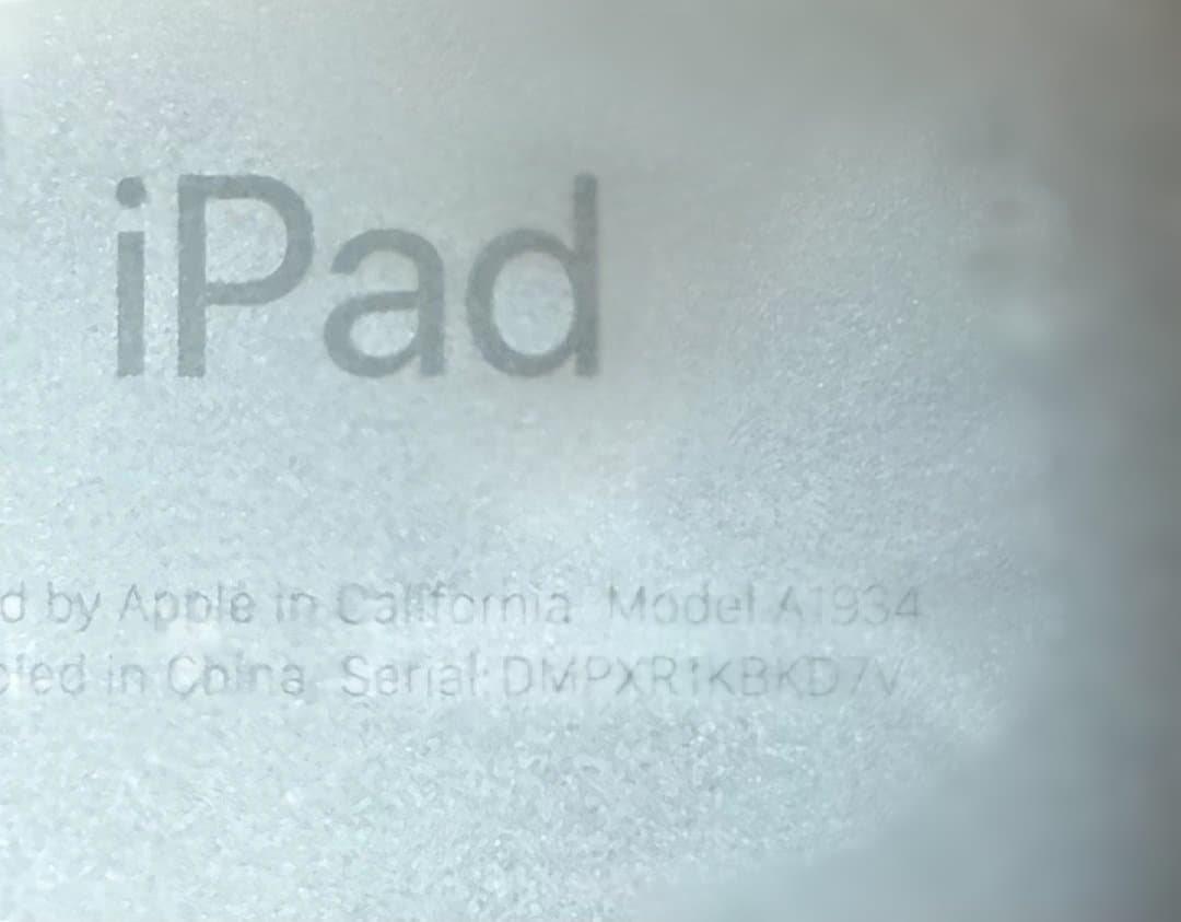 Apple iPad Pro (11インチ) スペースグレー 64GB