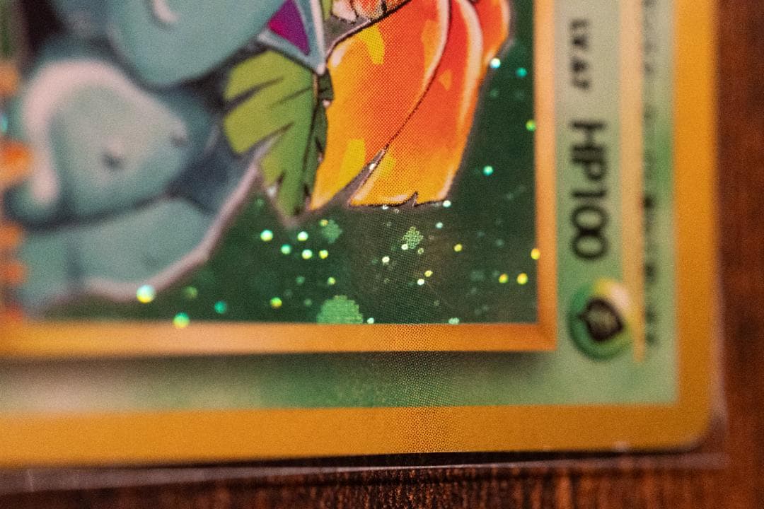 旧裏　フシギバナ ★ 第1弾拡張パック　マークあり　進化系セット