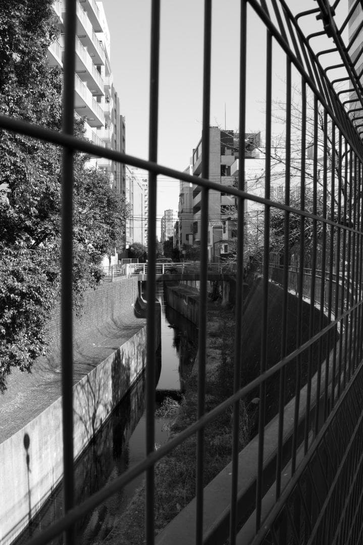 Limitedズーム！貴重なシルバー HD PENTAX-DA 20-40mm