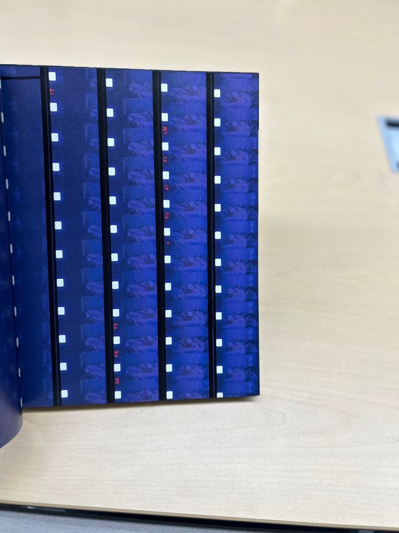 釣崎清隆 danse macabre to the HARDCORE WORKS