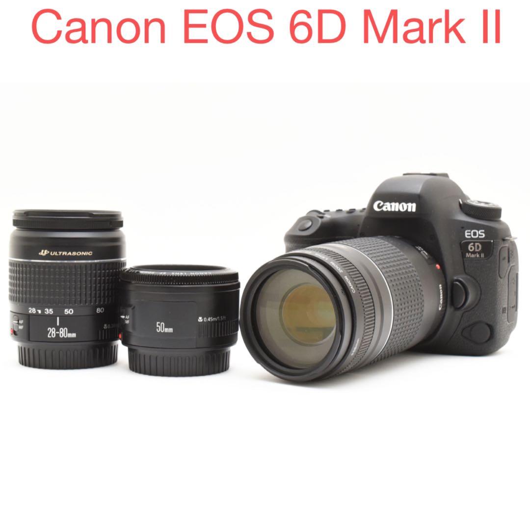 一眼レフカメラCanon EOS 6D mark II標準&望遠&単焦点セット