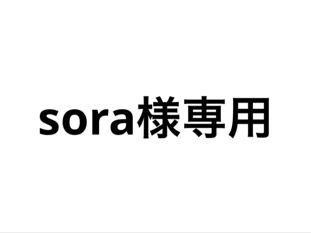 MacBook本体 sora