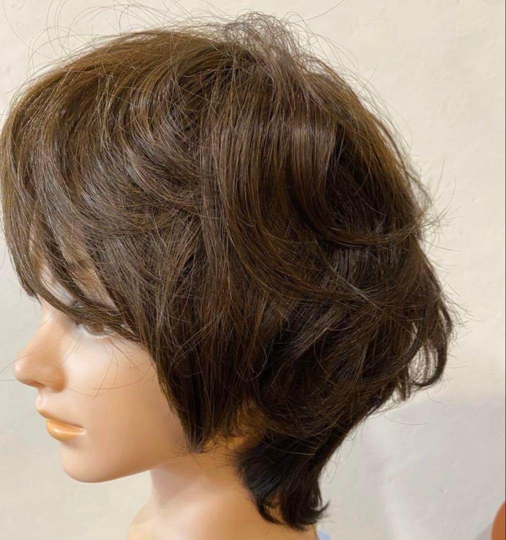 新品　タグ付き　フルウィッグ　フォンテーヌ