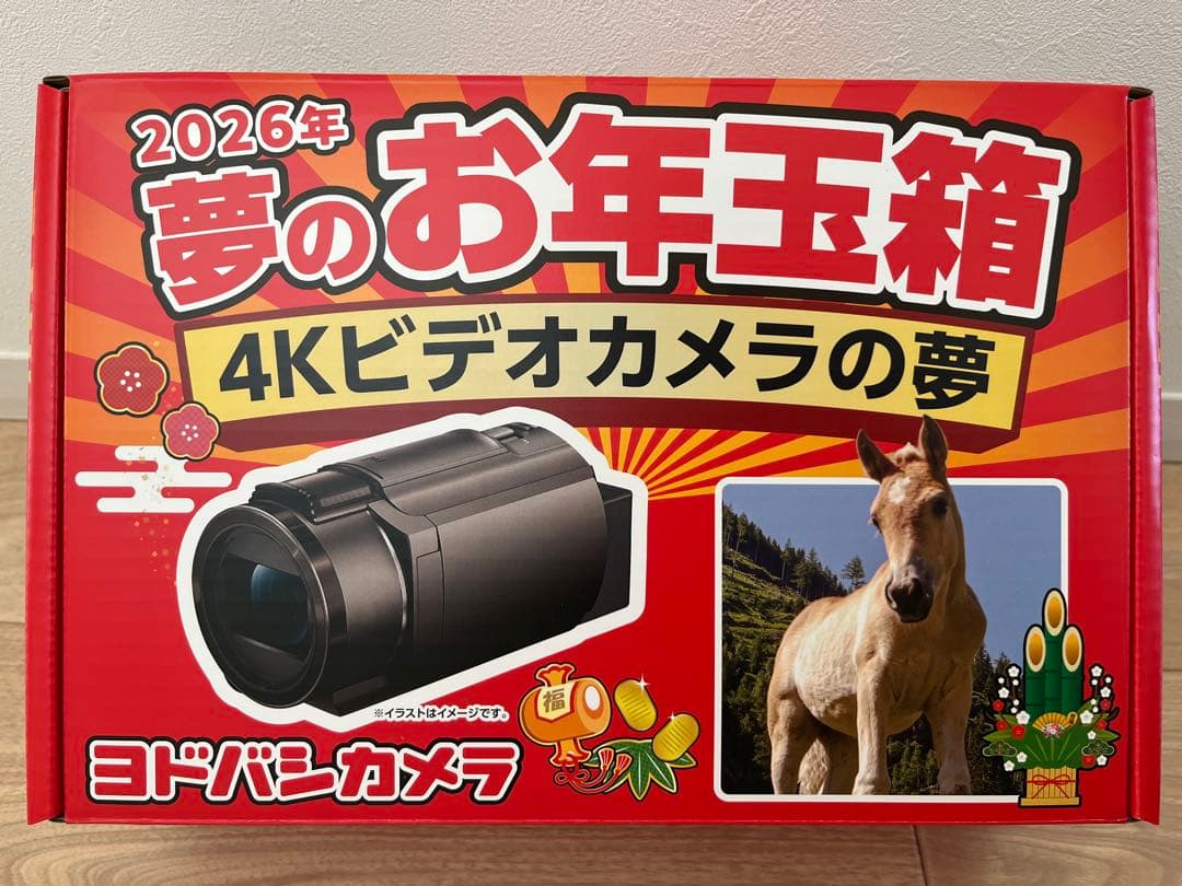 【新品】4Kビデオカメラの夢 SONY ソニー FDR-AX45 ヨドバシ福袋