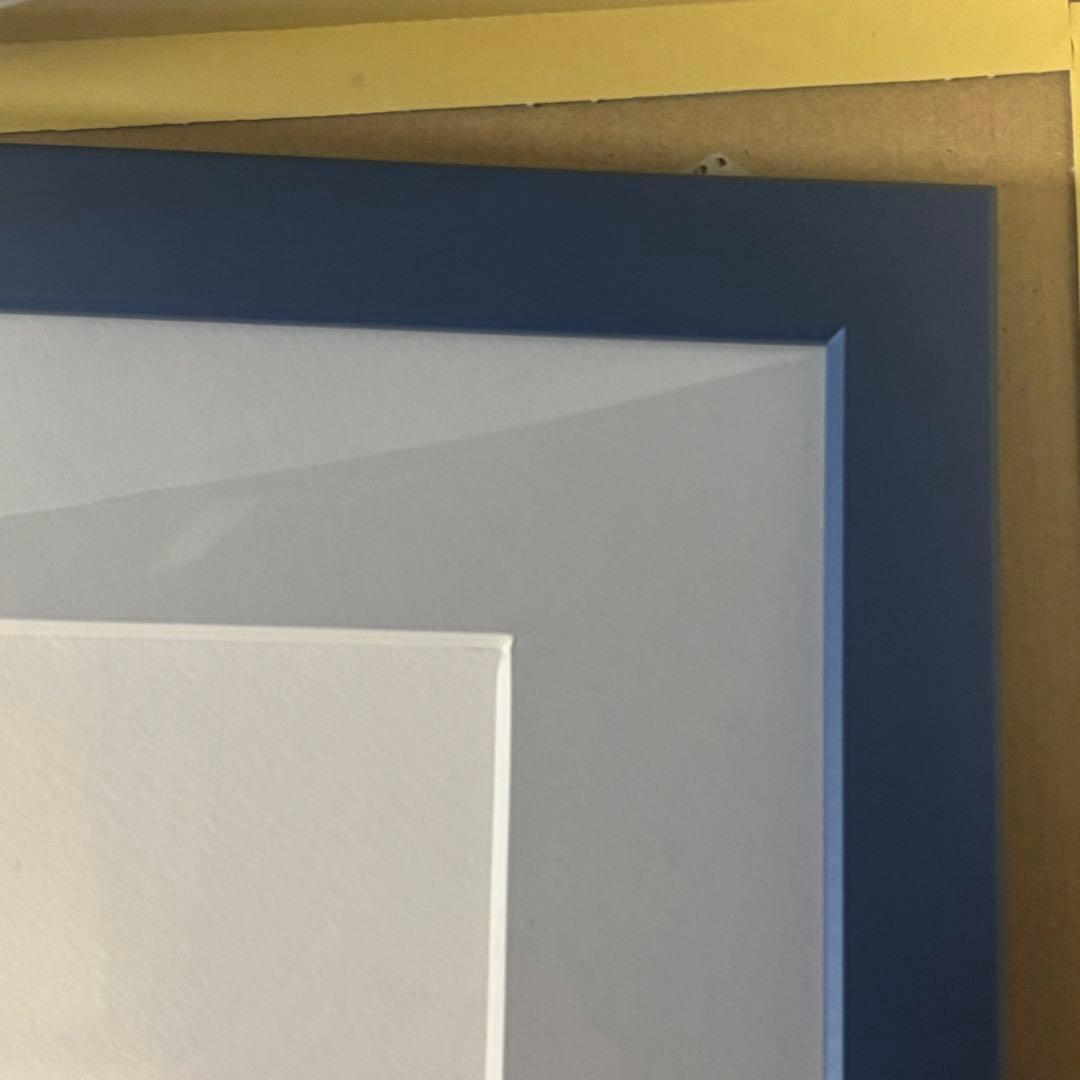 く*マ様 さかなクン　さかなクン気球にのって　デジタル版画 直筆サイン入り 20