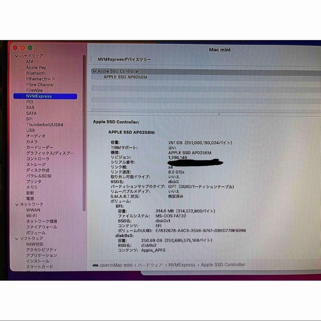 その他 Maa mini 2018