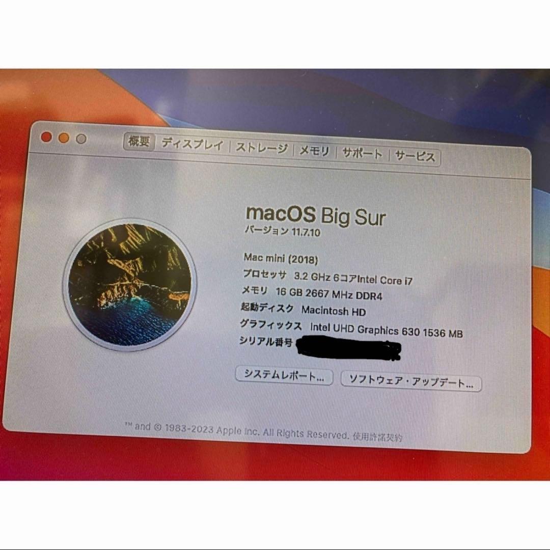 その他 Maa mini 2018