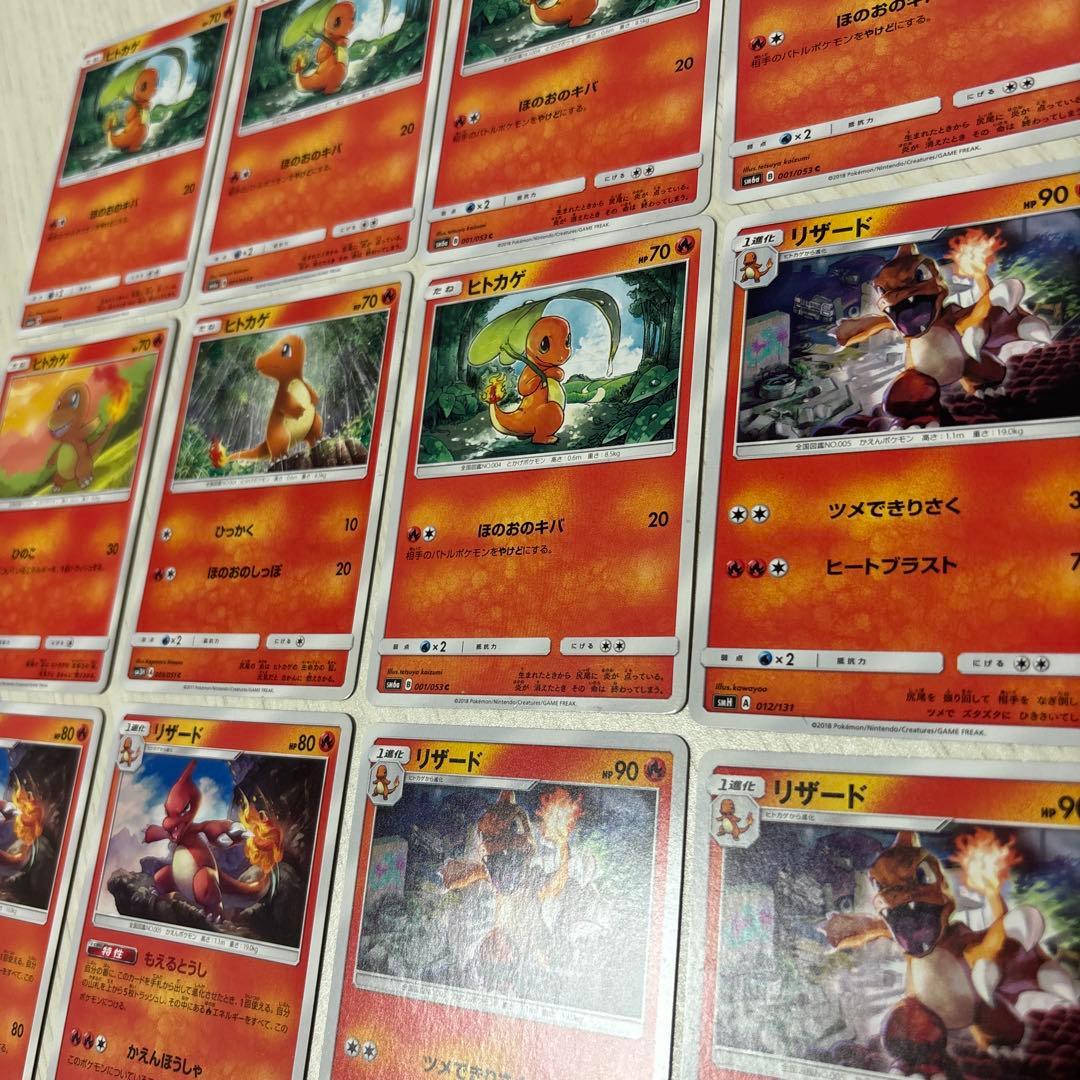 Pokemon Charmander Lizard ヒトカゲ・リザードセット