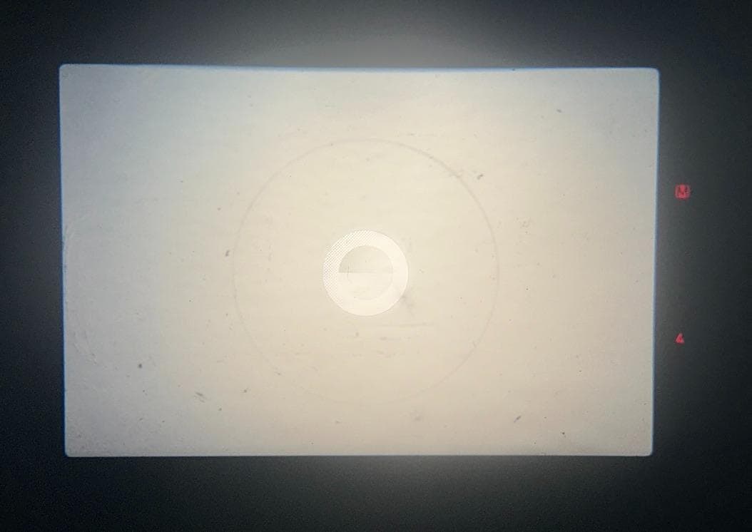 Canon AE-1 PROGRAM FD 28mm 1:3.5 フィルムカメラ