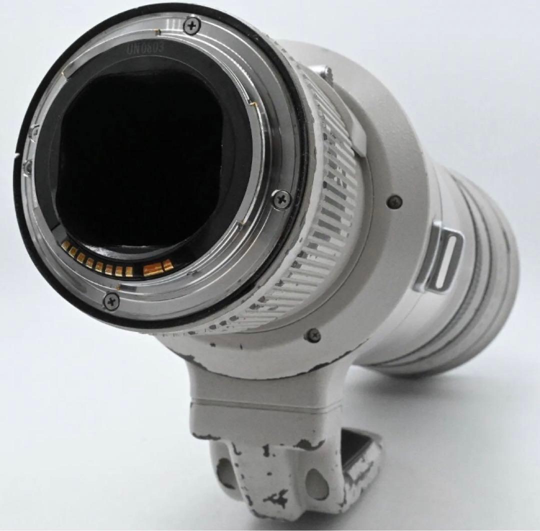 野鳥撮影に！Canon EF 500mm F4 IS