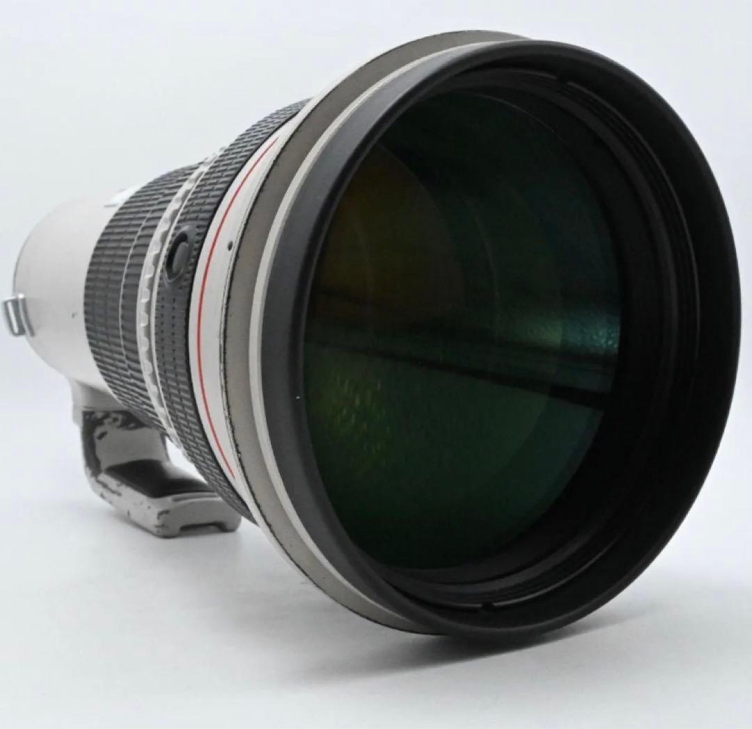 野鳥撮影に！Canon EF 500mm F4 IS