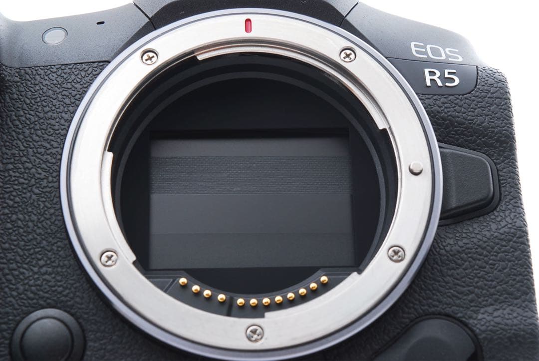保証残有 Canon EOS R5 付属品完備 ミラーレス一眼レフカメラ
